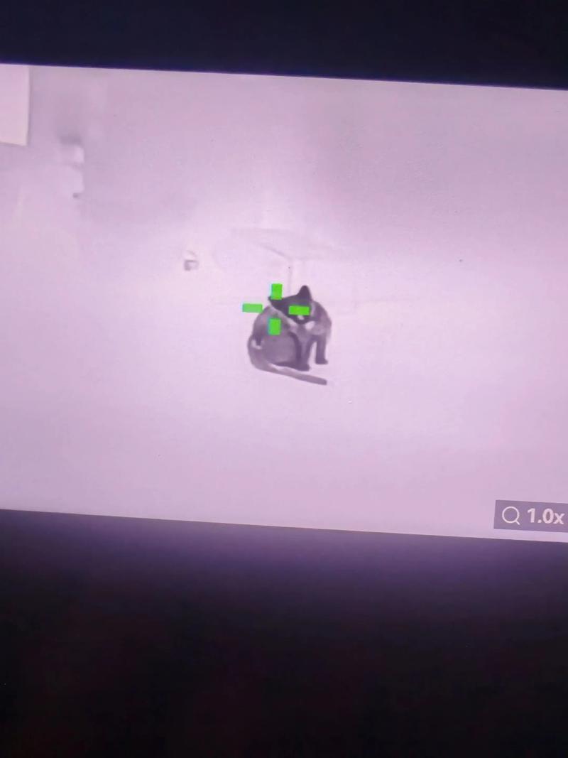 在韓國職棒的原创舞台上